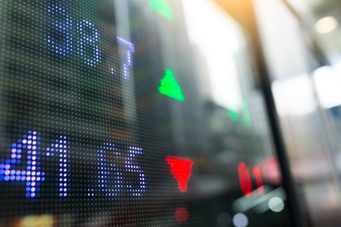 Similar image 13246276