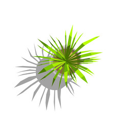 Similar image 13272362