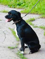 Similar image 13248915