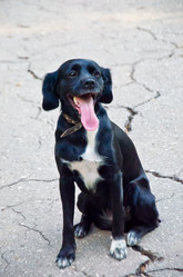 Similar image 13248916