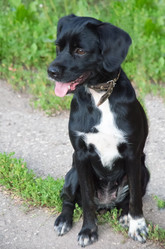 Similar image 13248917