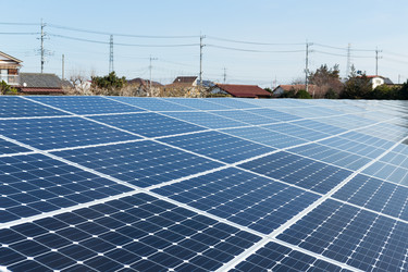 Similar image 13250120