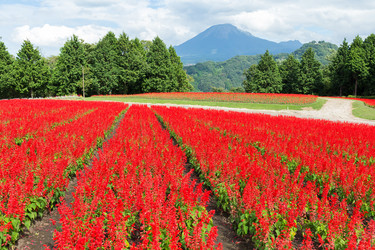 Similar image 13246290