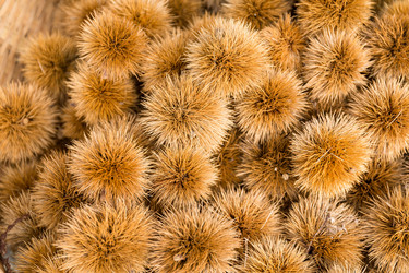 Similar image 13248333