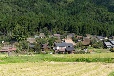 Similar image 13248413