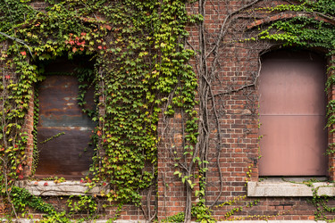 Similar image 13248415