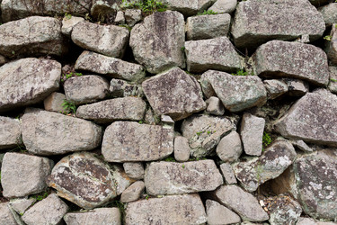 Similar image 13248513