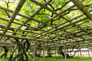 Similar image 13249804