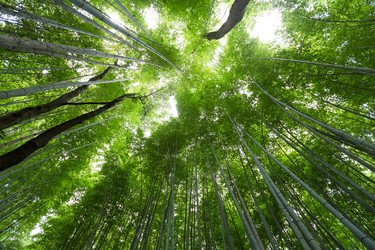 Similar image 13249944