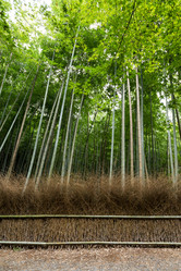 Similar image 13250001