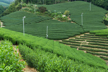 Similar image 13250145