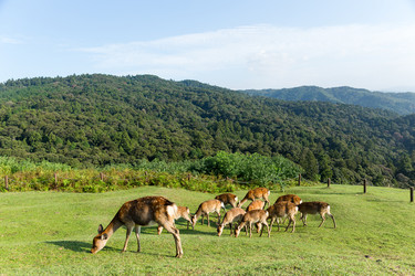 Similar image 13246107