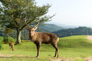 Similar image 13246192