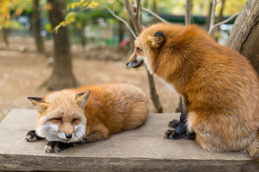 Similar image 13248341