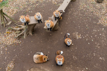 Similar image 13248394