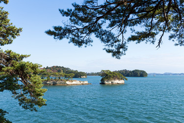 Similar image 13248396