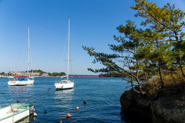 Similar image 13248416