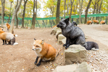 Similar image 13248536