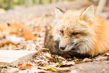 Similar image 13249807