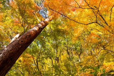 Similar image 13245975