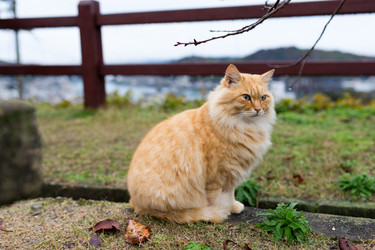 Similar image 13250067