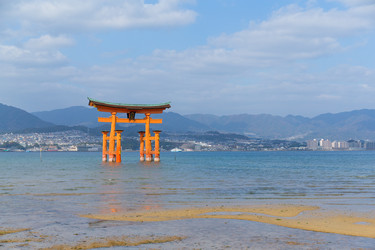 Similar image 13245997