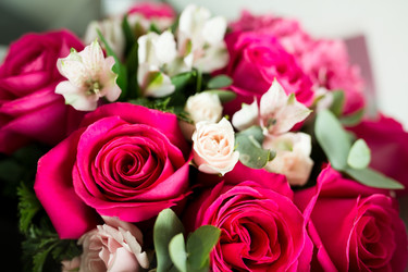 Similar image 13246121