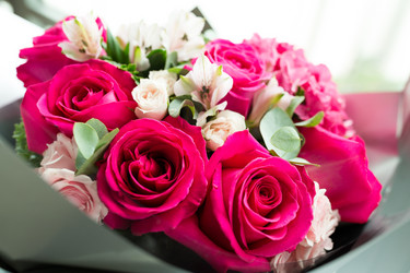 Similar image 13246112