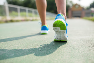 Similar image 13246161