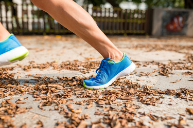 Similar image 13246164