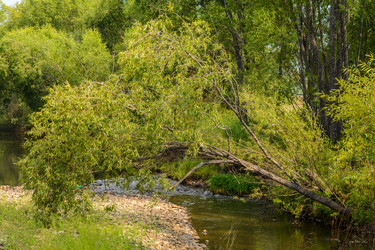 Similar image 13247748