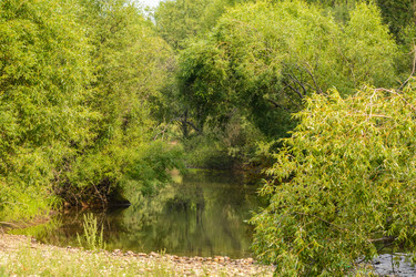 Similar image 13247749