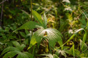 Similar image 13247750