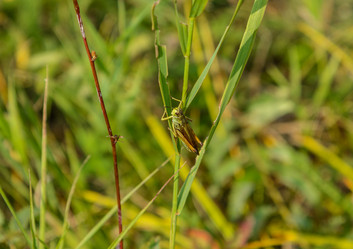 Similar image 13247751