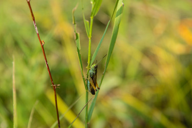 Similar image 13247752