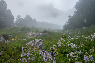 Similar image 13278732