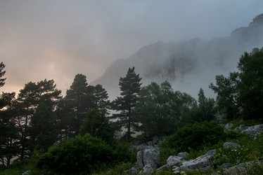 Similar image 13278736