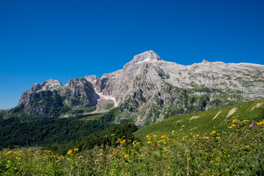 Similar image 13278741