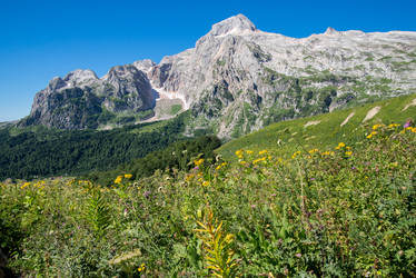 Similar image 13278745