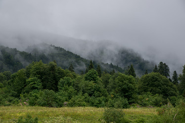 Similar image 13278748