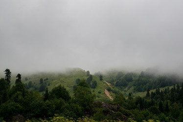 Similar image 13278749