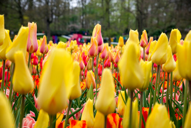 Similar image 13288460