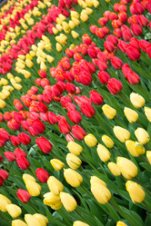 Similar image 13288555