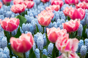 Similar image 13288581