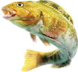 Similar image 13286700