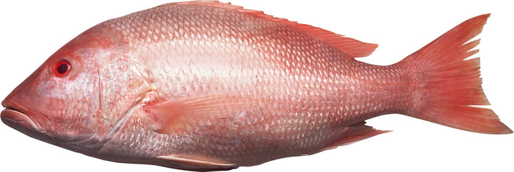 Similar image 13286705