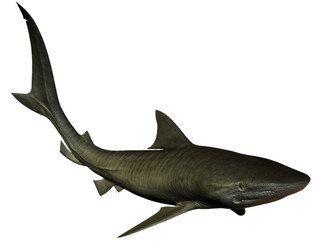 Similar image 13286707