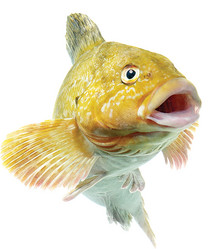 Similar image 13286708