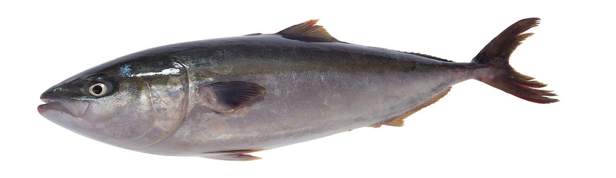 Similar image 13286711