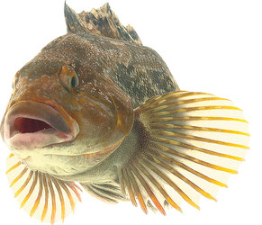 Similar image 13286713